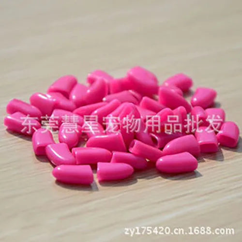 HTB1pJogQwHqK1RjSZFPq6AwapXaf