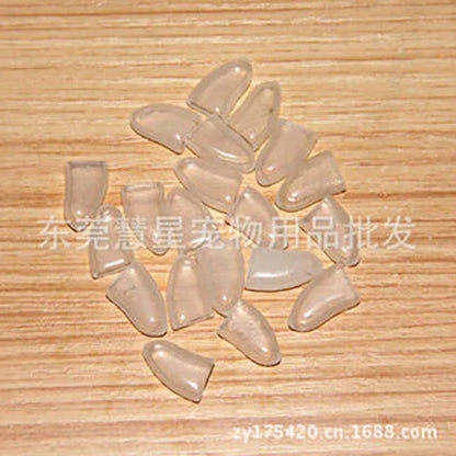 HTB1vP7bQBLoK1RjSZFuq6xn0XXaW