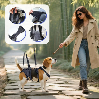 S10c2351b1a7344518f2761df732095e2I