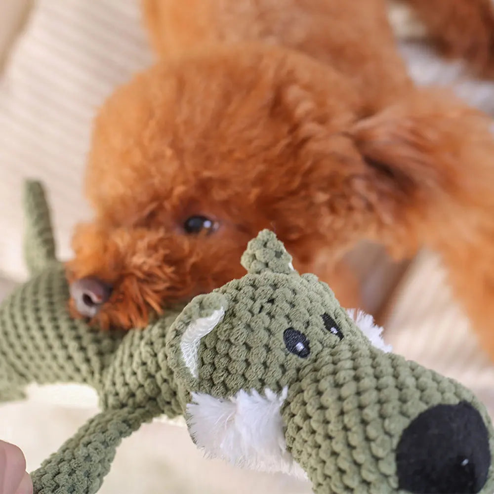 S1b69103187e046c193aec2225a8107b0O