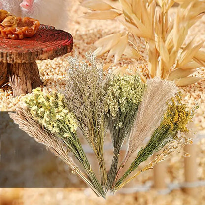 S25891198f09c463b940c26c513bbf4ccZ