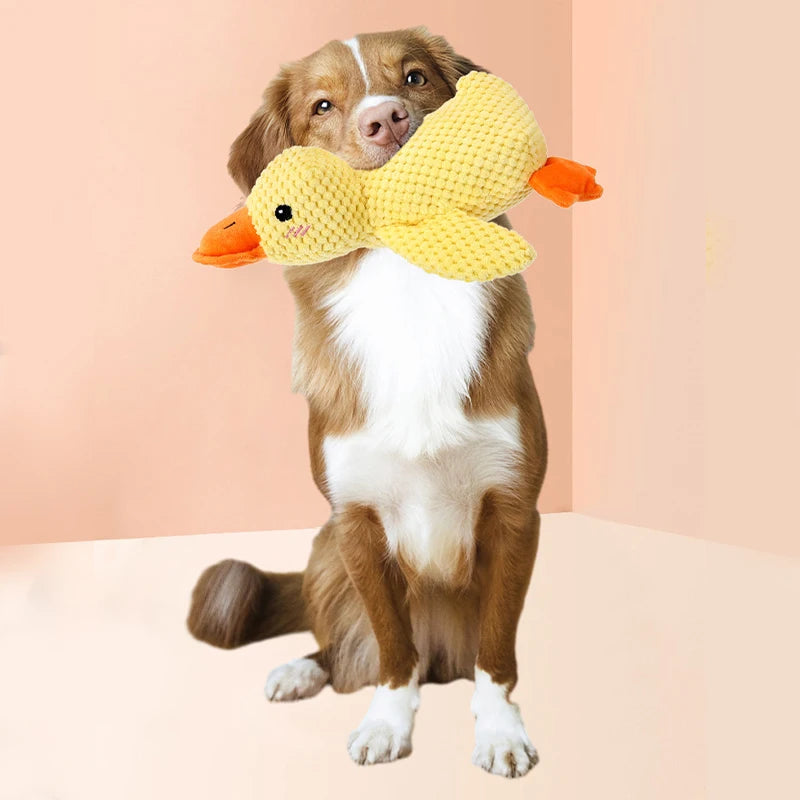 S3031599b228d4546b0d19154ecb94929p