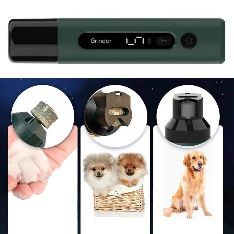 S397026524d1e49e1814350e96babcd57D