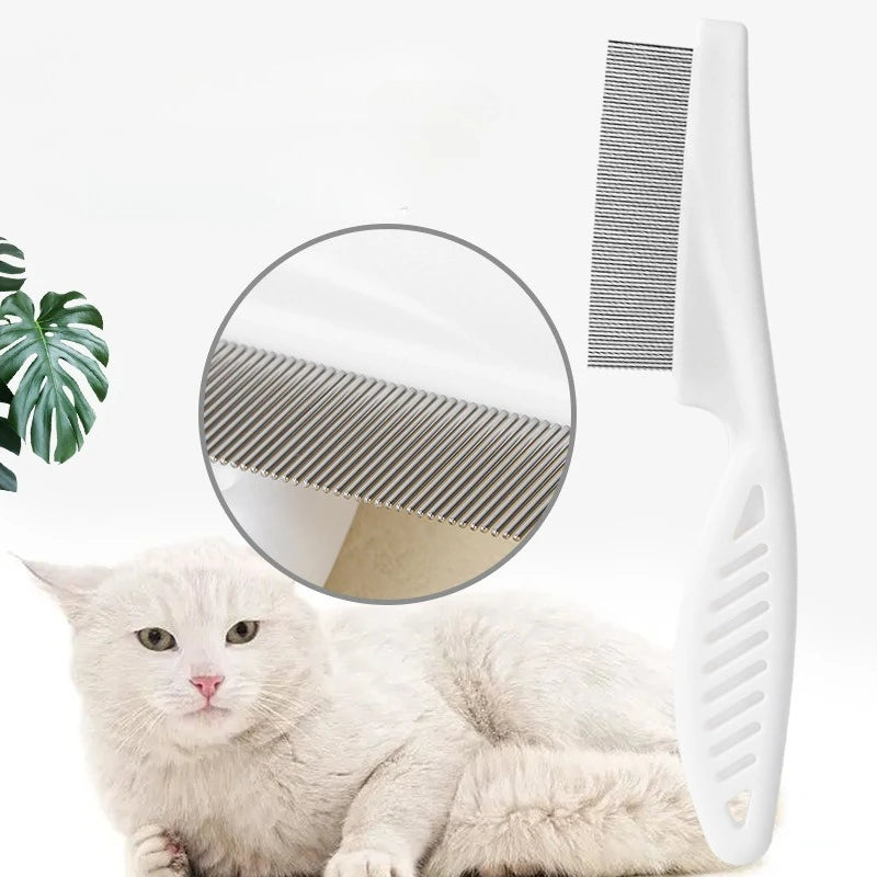 S5c0b8606202f4d4e8d626ce044bb49496