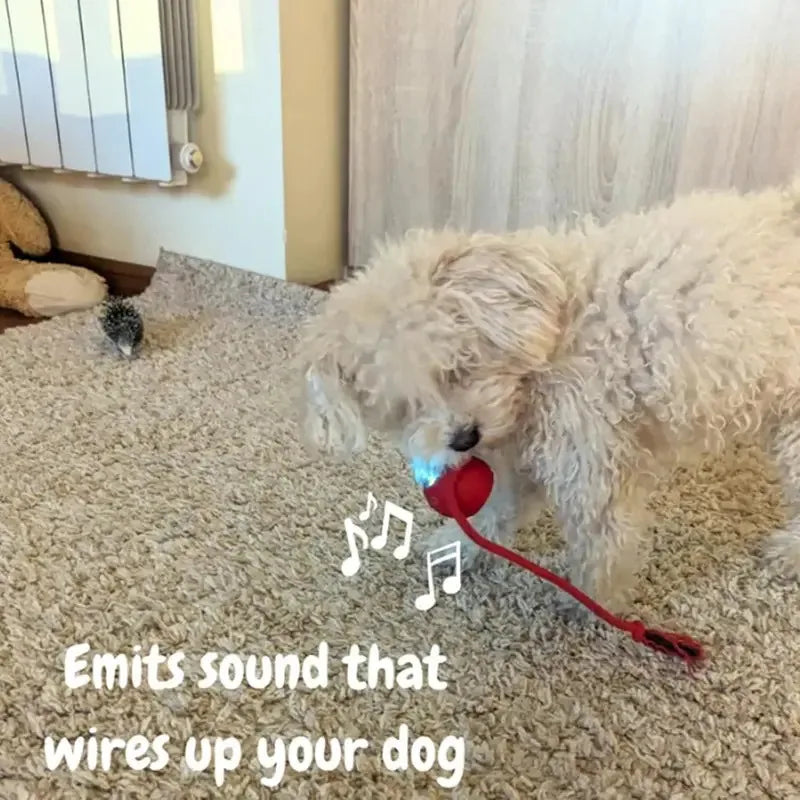 S5cab3946608a41a7a3b01253863504c2P