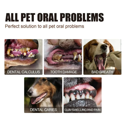 S5fe591cd633c4ca0930a87cd5750c97au