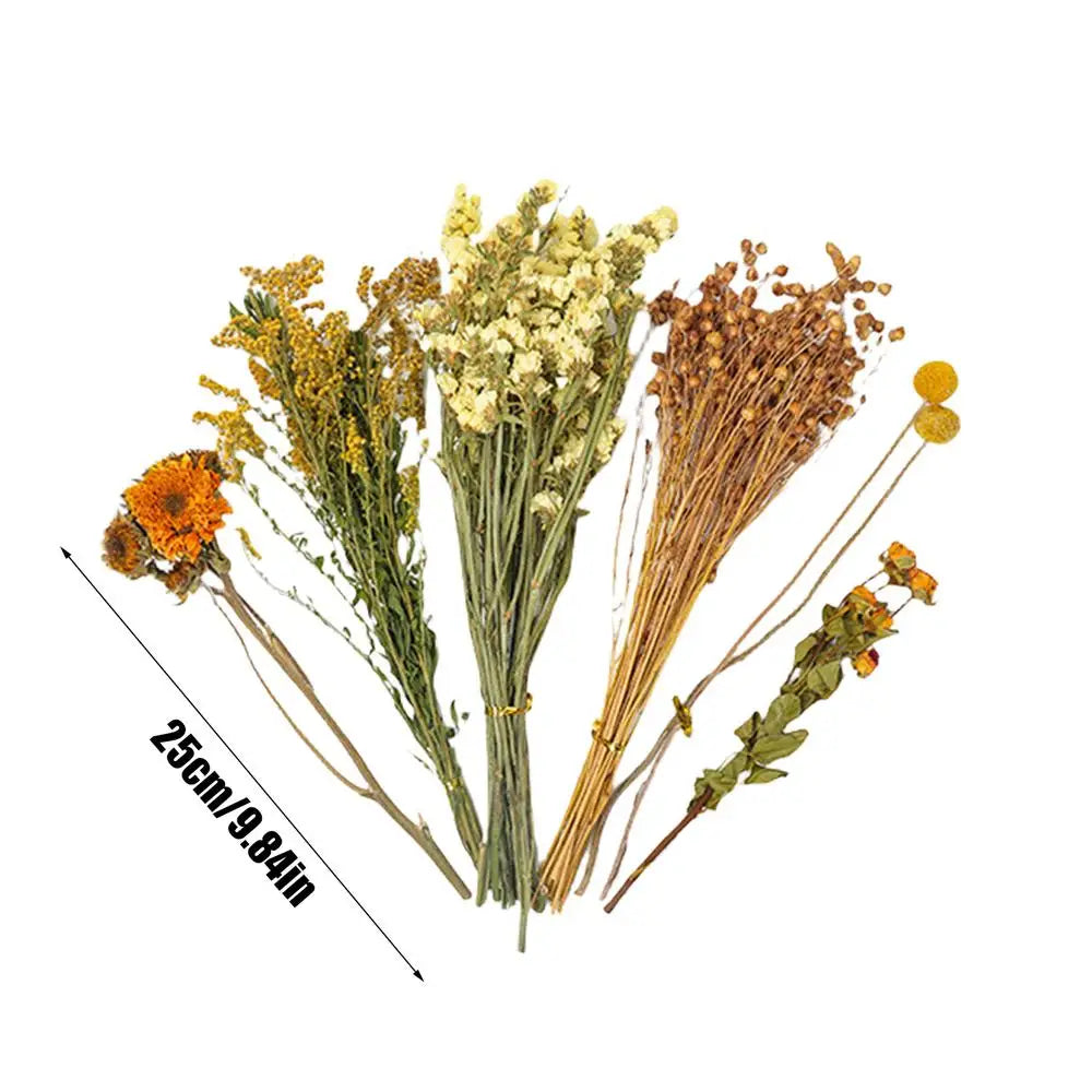 Sa2906f98a960472597265191047fbccaw