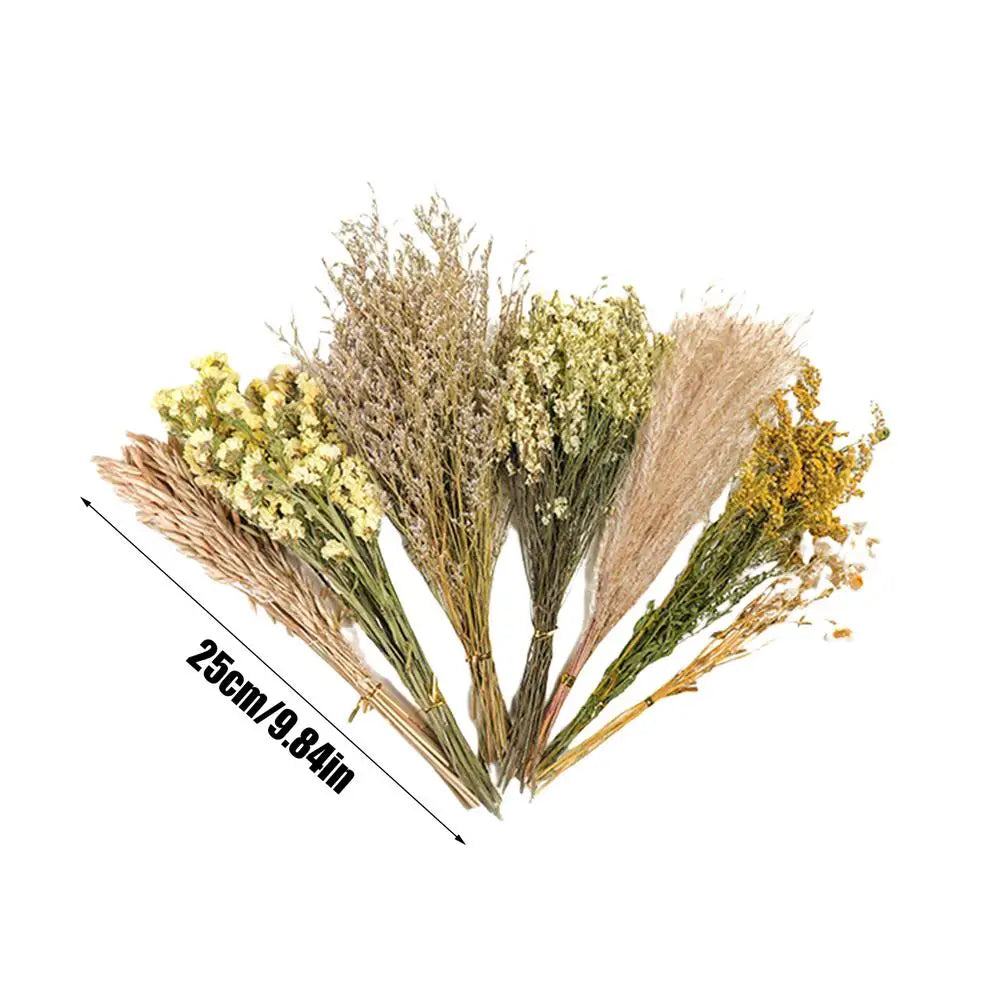 Sa8ff5b77b2d54ce0b07e130fc75e3158F