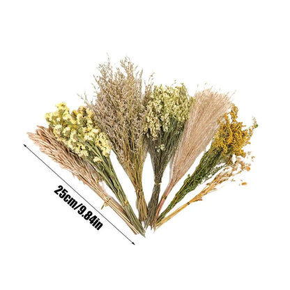 Sa8ff5b77b2d54ce0b07e130fc75e3158F