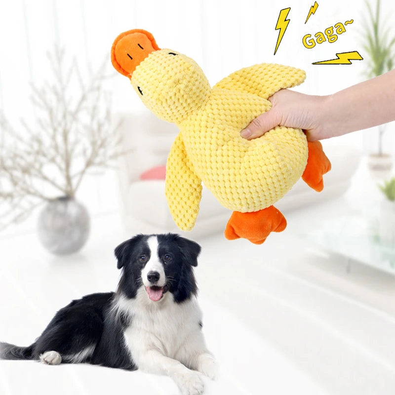 Sd45a389ab1ba4cafbec9035fcd869cf9d