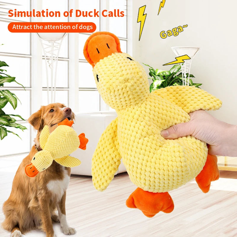 Sd6bd6dd0dd0c4bd3ae4a2026304cb053G