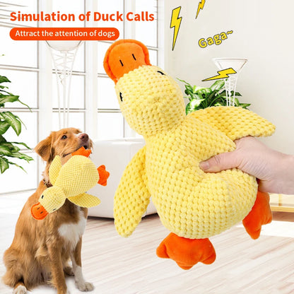 Sd6bd6dd0dd0c4bd3ae4a2026304cb053G