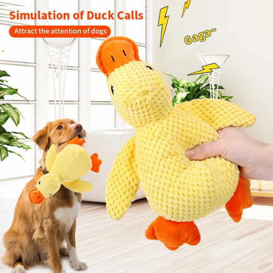 Sd6bd6dd0dd0c4bd3ae4a2026304cb053G