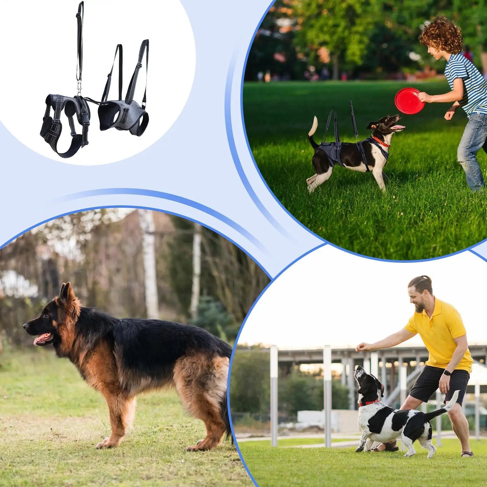 Sddb6d704d47f45b1a06d9addb565bb4cd