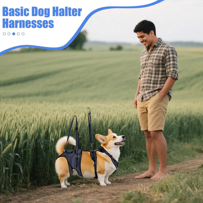 Sec4f98d193ab4f76a63bda7014fbda5dw